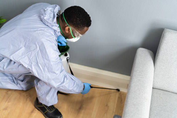 Best Pest Prevention Services  in Beale Af, CA